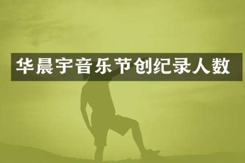 华晨宇音乐节创纪录人数