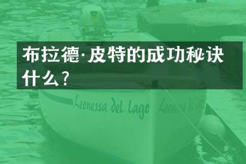 布拉德·皮特的成功秘诀是什么？