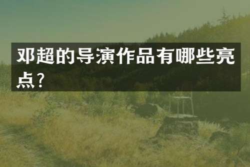 邓超的导演作品有哪些亮点？