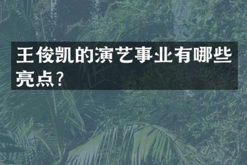 王俊凯的演艺事业有哪些亮点？