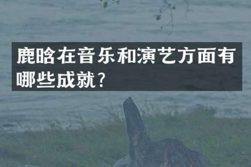 鹿晗在音乐和演艺方面有哪些成就？