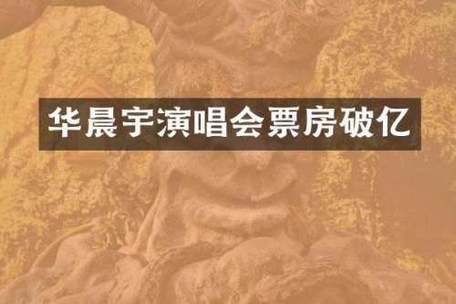 华晨宇演唱会票房破亿