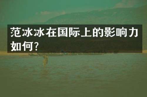 在国际上的影响力如何？