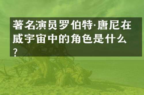 著名演员罗伯特·唐尼在漫威宇宙中的角色是什么？