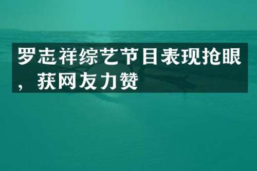 罗志祥综艺节目表现抢眼，获网友力赞