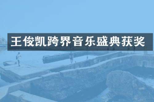 王俊凯跨界音乐盛典