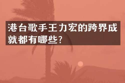 港台歌手王力宏的跨界成就都有哪些？
