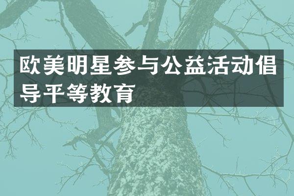 欧美明星参与公益活动倡导平等教育