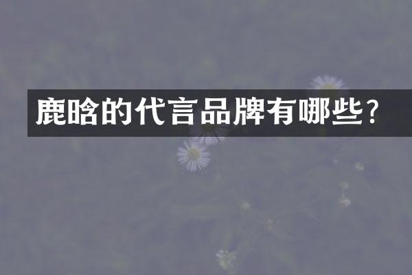 鹿晗的代言品牌有哪些？