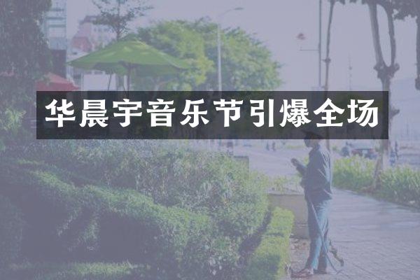 华晨宇音乐节全场
