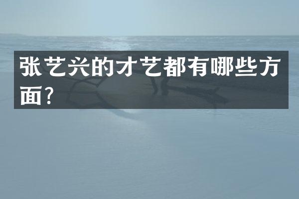 张艺兴的才艺都有哪些方面？