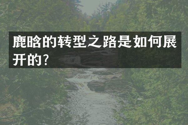 鹿晗的转型之路是如何展开的？