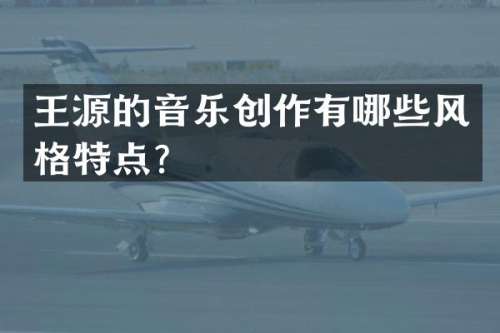 王源的音乐创作有哪些风格特点？