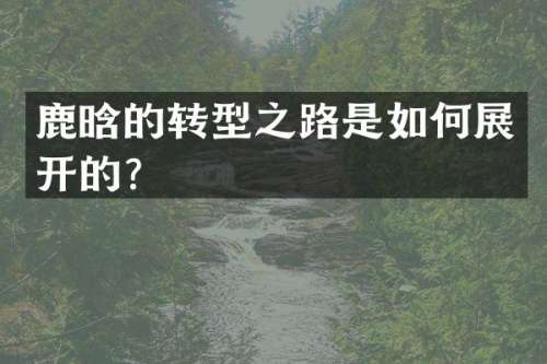 鹿晗的转型之路是如何展开的？