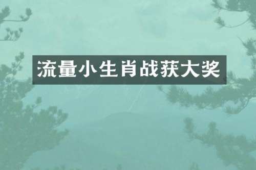 流量小生肖战获大奖