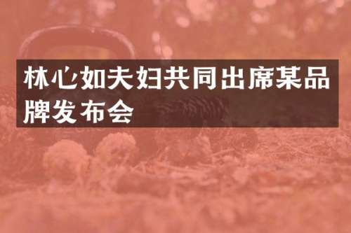 林心如夫妇共同出席某品牌发布会