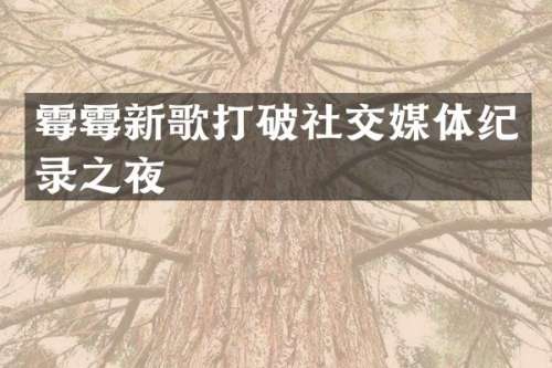 新歌打破社交媒体纪录之夜