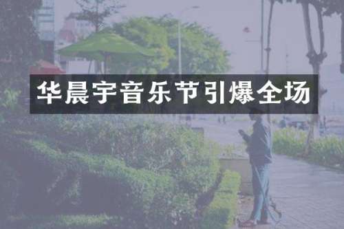 华晨宇音乐节全场