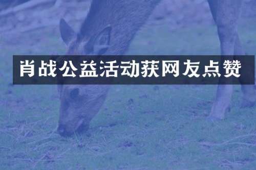 肖战公益活动获网友点赞