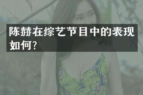 陈赫在综艺节目中的表现如何？