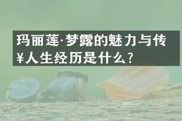 玛丽莲·梦的魅力与传奇人生经历是什么？