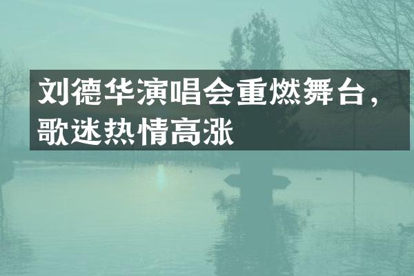 刘德华演唱会重燃舞台，歌迷热情高涨