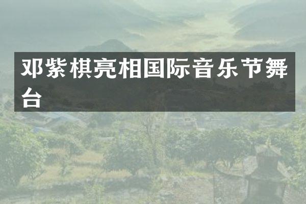 邓紫棋亮相国际音乐节舞台