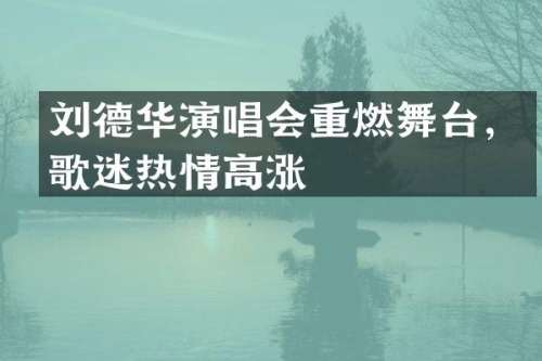 刘德华演唱会重燃舞台，歌迷热情高涨