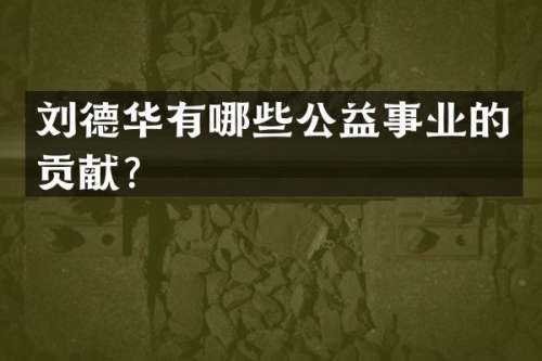 刘德华有哪些公益事业的贡献？