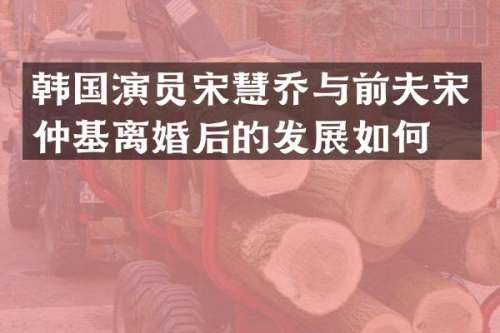 韩国演员宋慧乔与前夫宋仲基离婚后的发展如何？