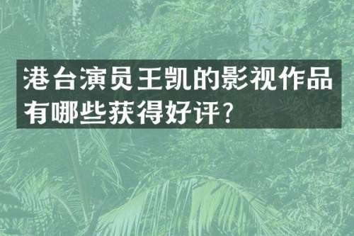 港台演员王凯的影视作品有哪些获得好评？