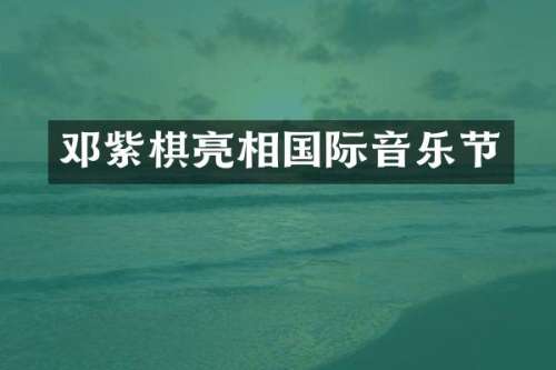 邓紫棋亮相国际音乐节