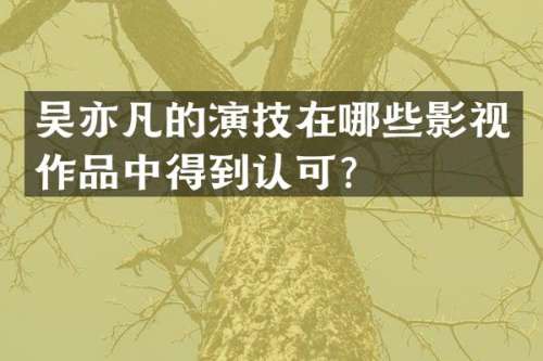 吴亦凡的演技在哪些影视作品中得到认可？