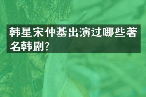 韩星宋仲基出演过哪些著名韩剧？