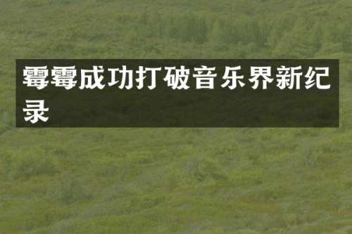 成功打破音乐界新纪录