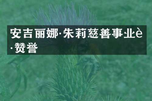 安吉丽娜·朱莉慈善事业获赞誉