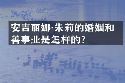 安吉丽娜·朱莉的婚姻和慈善事业是怎样的？