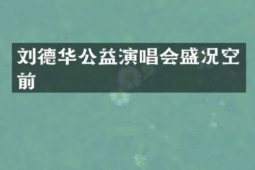 刘德华公益演唱会盛况空前