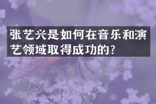 张艺兴是如何在音乐和演艺领域取得成功的？