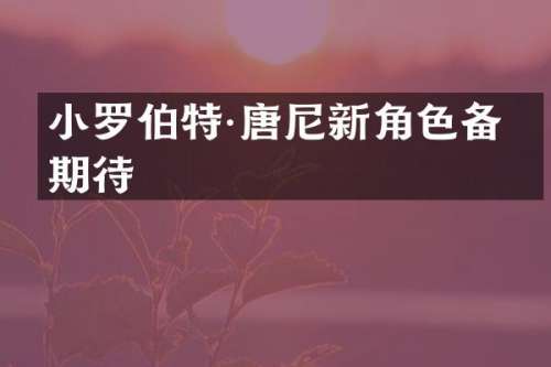 小罗伯特·唐尼新角色备受期待