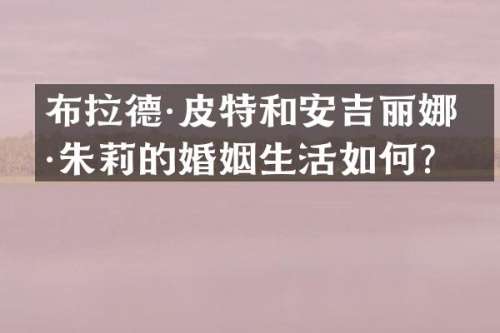 布拉德·皮特和安吉丽娜·朱莉的婚姻生活如何？