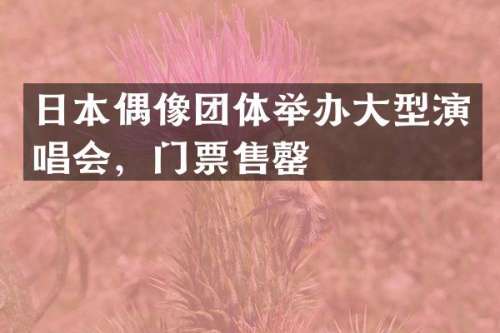 日本偶像团体举办大型演唱会，门票售罄