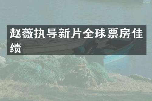 赵薇执导新片全球票房佳绩