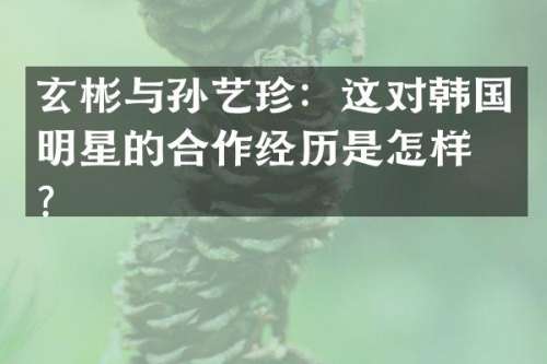 玄彬与孙艺珍：这对韩国明星的合作经历是怎样的？