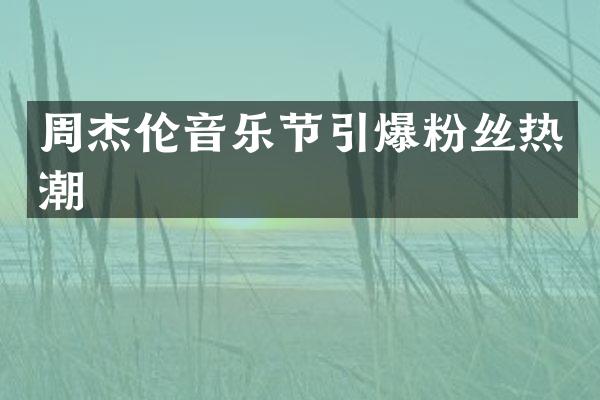 周杰伦音乐节粉丝热潮