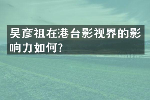 吴彦祖在港台影视界的影响力如何？