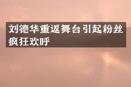 刘德华重返舞台引起粉丝疯狂欢呼