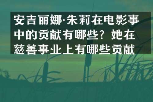 安吉丽娜·朱莉在电影事业中的贡献有哪些？她在慈善事业上有哪些贡献？