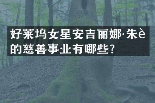 好莱坞女星安吉丽娜·朱莉的慈善事业有哪些？