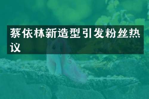 蔡依林新造型引发粉丝热议